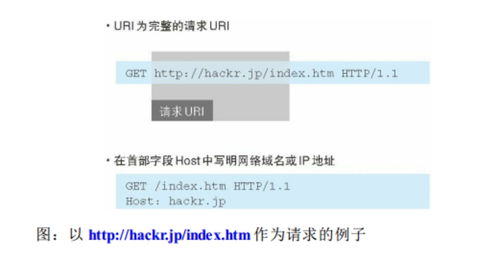 網(wǎng)絡(luò)編程基礎(chǔ) 網(wǎng)絡(luò)通信與信息安全軟件開發(fā)