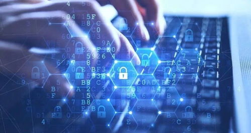 超市警惕 用戶數(shù)據(jù)泄露風險與網(wǎng)絡安全防護策略