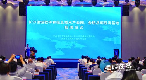 望城軟件園揚(yáng)帆起航，專(zhuān)項(xiàng)扶持政策助力信息技術(shù)服務(wù)業(yè)騰飛