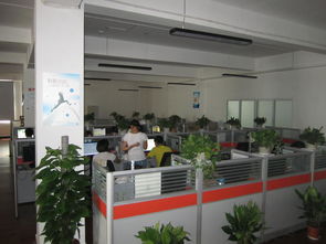 武漢灝信信息技術(shù)服務(wù)圖冊(cè) 引領(lǐng)數(shù)字化轉(zhuǎn)型的專(zhuān)業(yè)力量